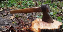 Buchcover: Holzfällen von Thomas Bernhard