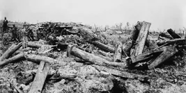 Buchcover: Die Schlafwandler. Wie Europa in den Ersten Weltkrieg zog von Christopher Clark